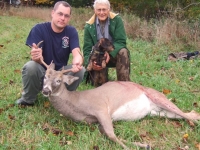 2012-10-02-deer-recovery1-662a617799bc55dd557f6ccefa89f3efa05a4160