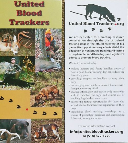 Rack Card